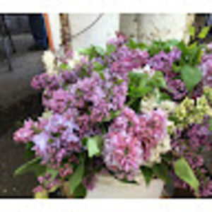 Meet your Posher, Tammy